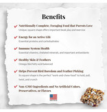 Lafeber Lafeber Company Avi-Cakes Fruit Delight for Parrots 8 Oz