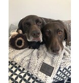 Tall Tails Tall Tails Blanket Cable Knit 30 x 40 in