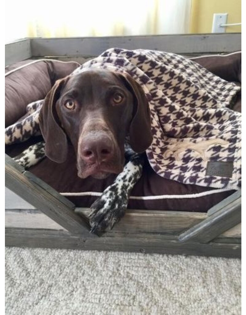 Tall Tails Tall Tails Blanket Houndstooth