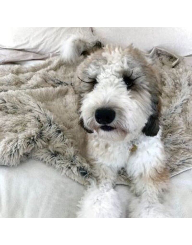 Tall Tails Tall Tails Blanket Waterproof Grey 40 x 60 in