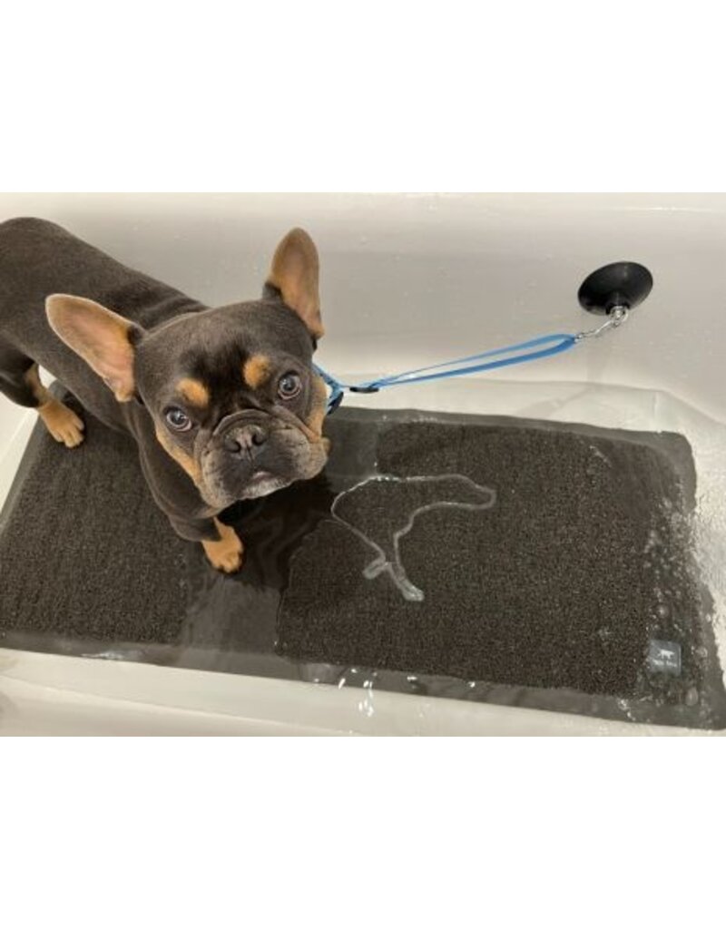 Tall Tails Tall Tails Bath Leash With Suction Cup