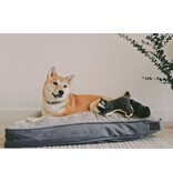 Tall Tails Tall Tails Dream Chaser Cushion Bed