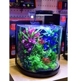 Aquatop Aquatop Pisces Nano Bowfront Glass  Aquarium Kits