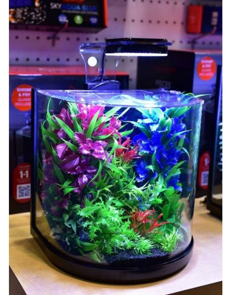 Aquatop Aquatop Pisces Nano Bowfront Glass  Aquarium Kits