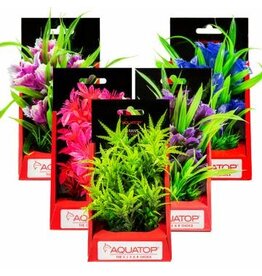 Aquatop Aquatop Vibrant Garden Plant 6 in