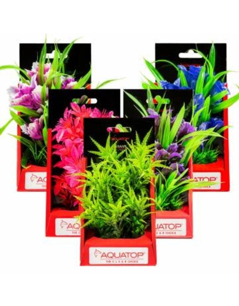 Aquatop Aquatop Vibrant Garden Plant 6 in