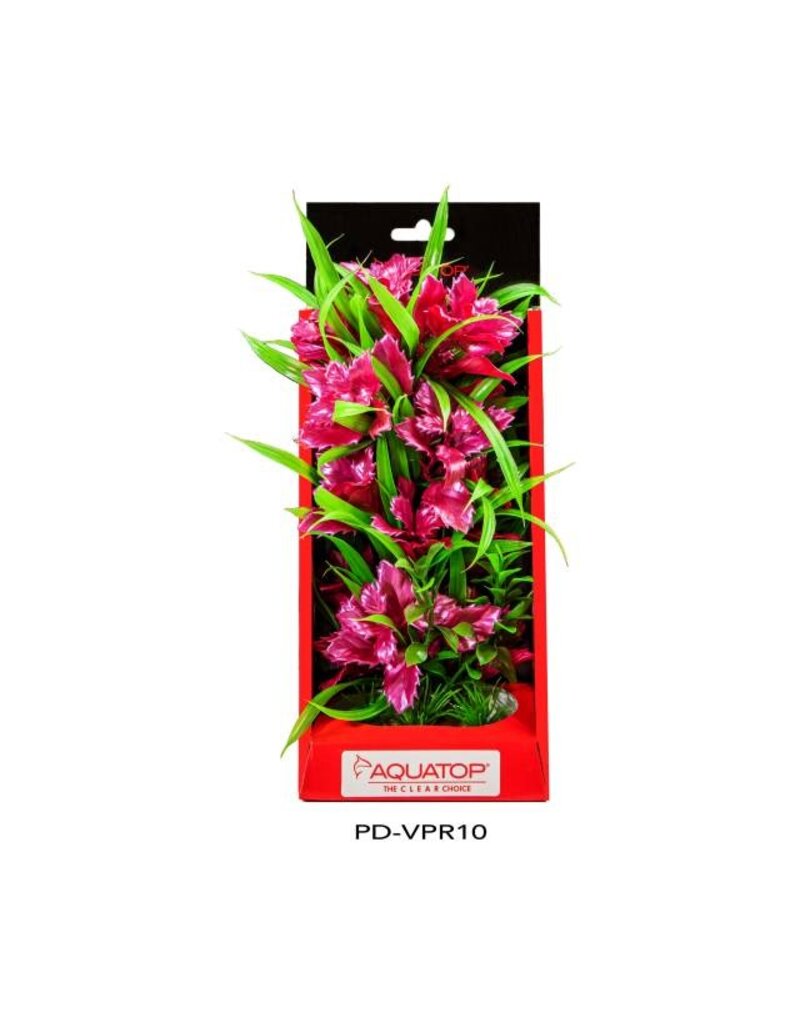 Aquatop Aquatop Vibrant Passion Plant 10 in