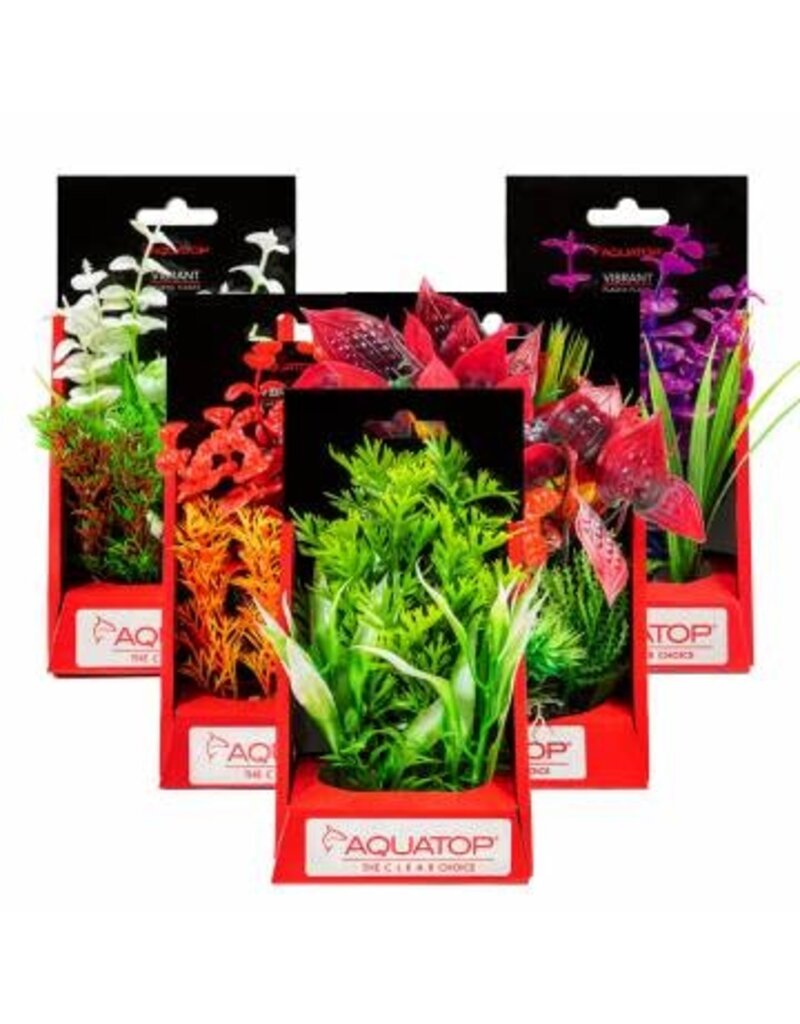 Aquatop Aquatop Vibrant Wild Plant 6 in