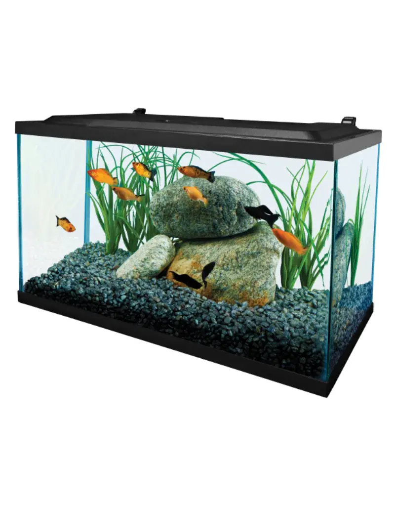 Tetra Tetra Deluxe LED Aquarium Kits