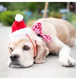 Huxley and Kent Huxley and Kent Santa Hat