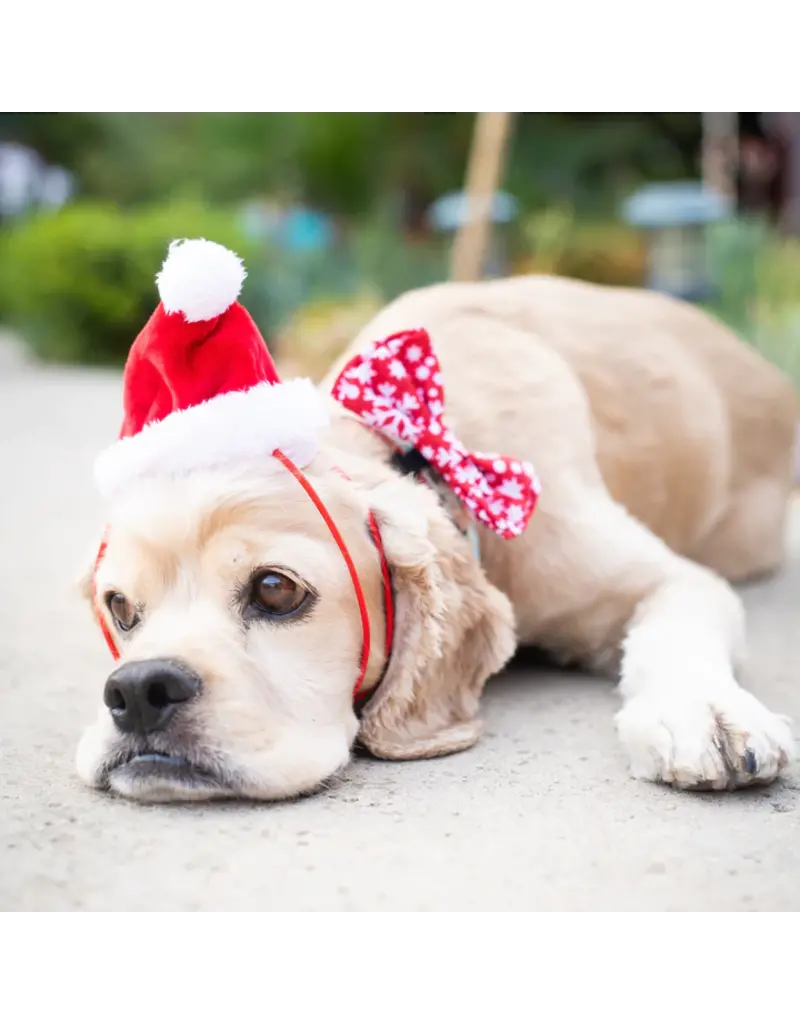 Huxley and Kent Huxley and Kent Santa Hat