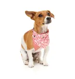 Fuzzyard Fuzzyard Holiday Dog Bandana