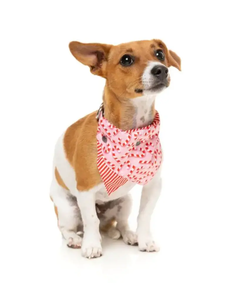 Fuzzyard Fuzzyard Holiday Dog Bandana