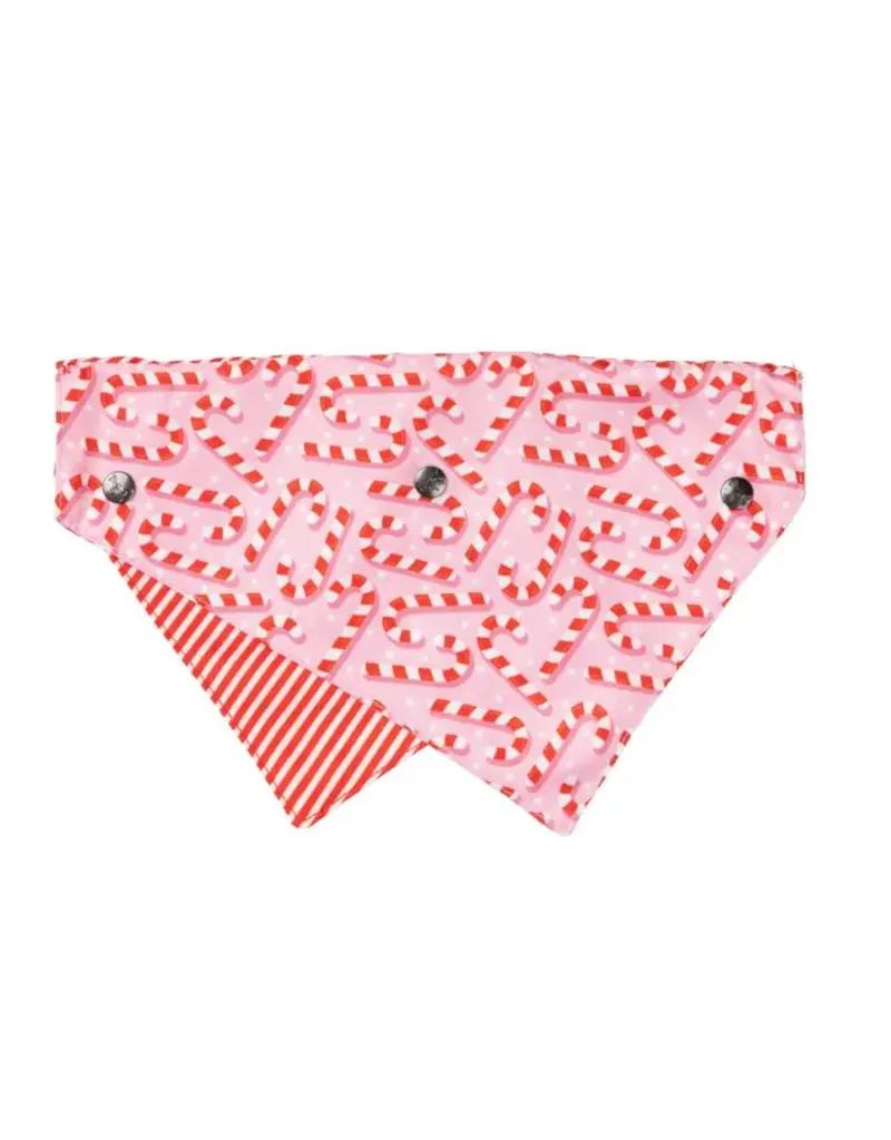 Fuzzyard Fuzzyard Holiday Dog Bandana