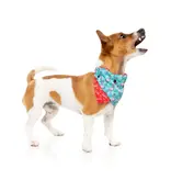 Fuzzyard Fuzzyard Holiday Dog Bandana
