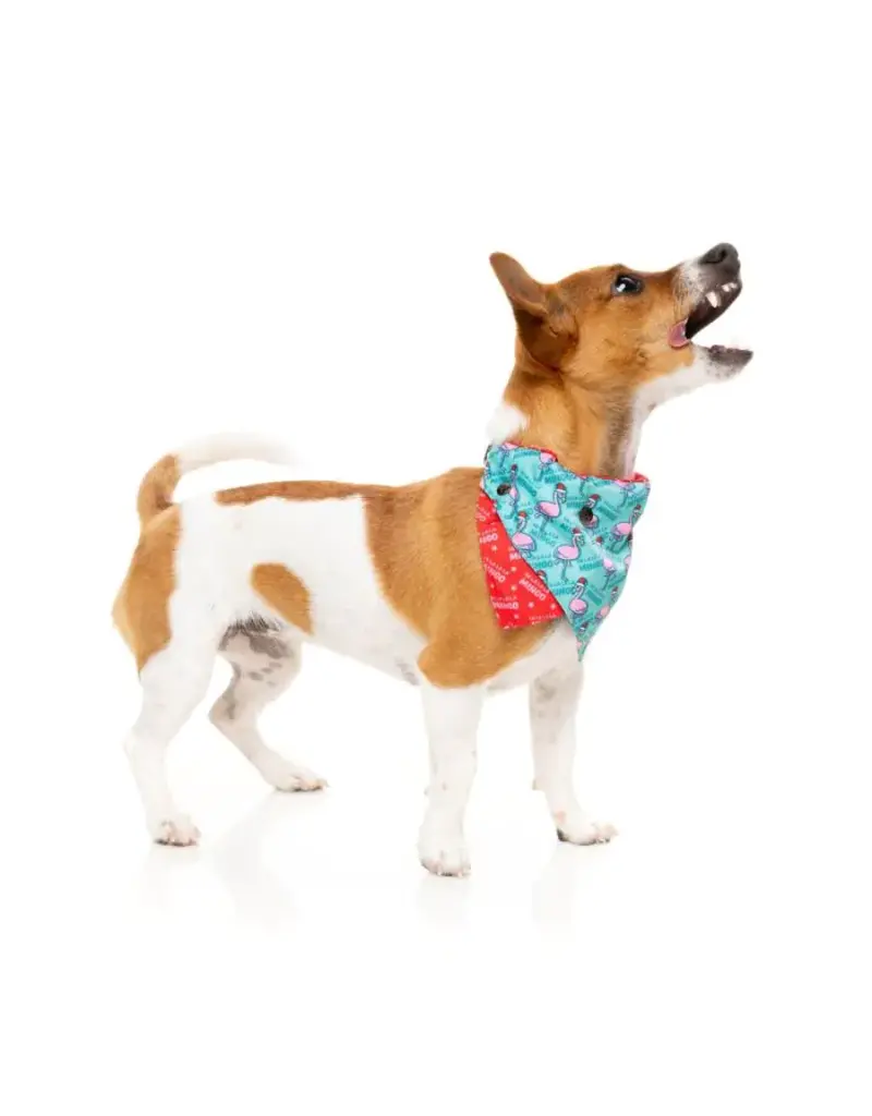 Fuzzyard Fuzzyard Holiday Dog Bandana