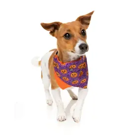 Fuzzyard Fuzzyard Halloween Dog Bandana