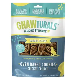 Pawsitive Pets Gnawturals Cricket Crunch Dog Treats Banana 6 Oz/40ct