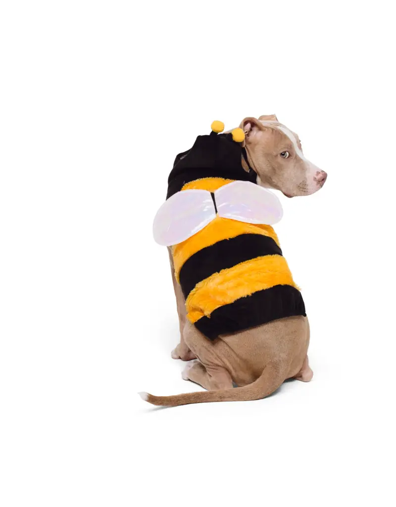 Show and Tail Show and Tail Dog Costume The Wanna Bee
