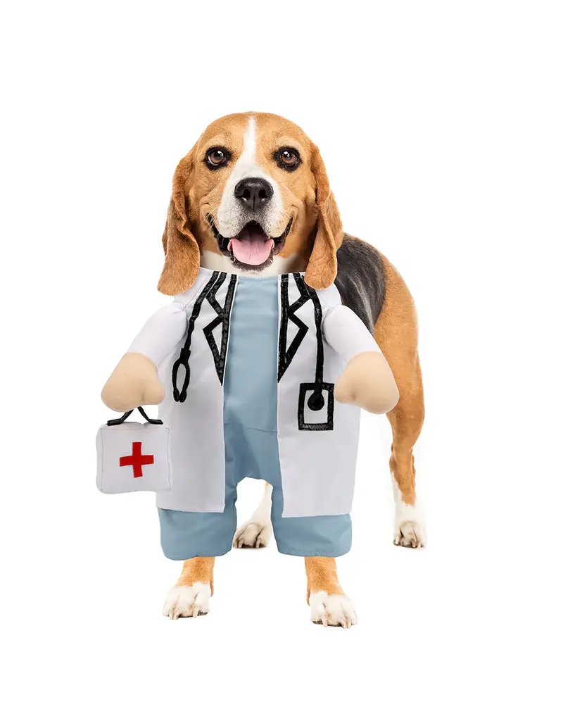 Show and Tail Show and Tail Dog Costume The Dogtor