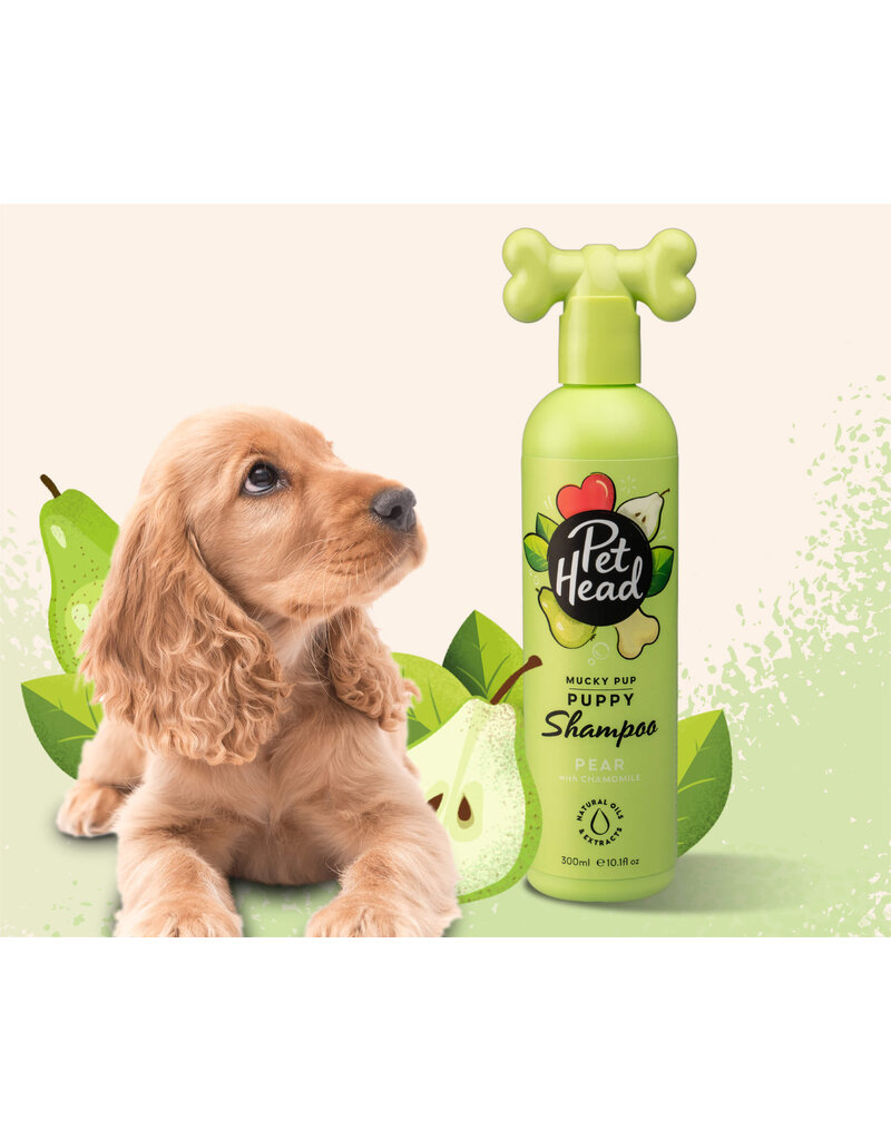 The Company of Animals Pet Head Mucky Pup Shampoo Pear 16 Oz