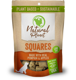 Nutri Source Natural Planet Pumpkin Squares Dog Treat 10Oz