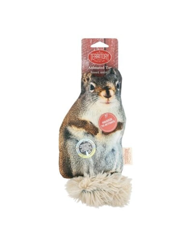 Territory Territory Floppy Squirrel 11 In