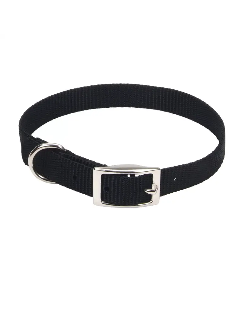 Coastal Pet Coastal Pet Nylon Dog Collar Single Ply