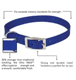 Coastal Pet Coastal Pet Nylon Dog Collar Single Ply