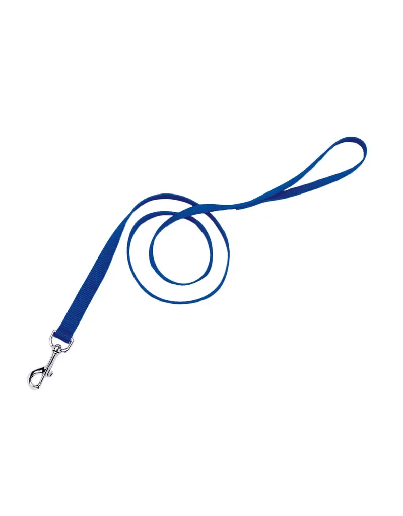 Coastal Pet Coastal Pet Nylon Single Ply Dog Lead