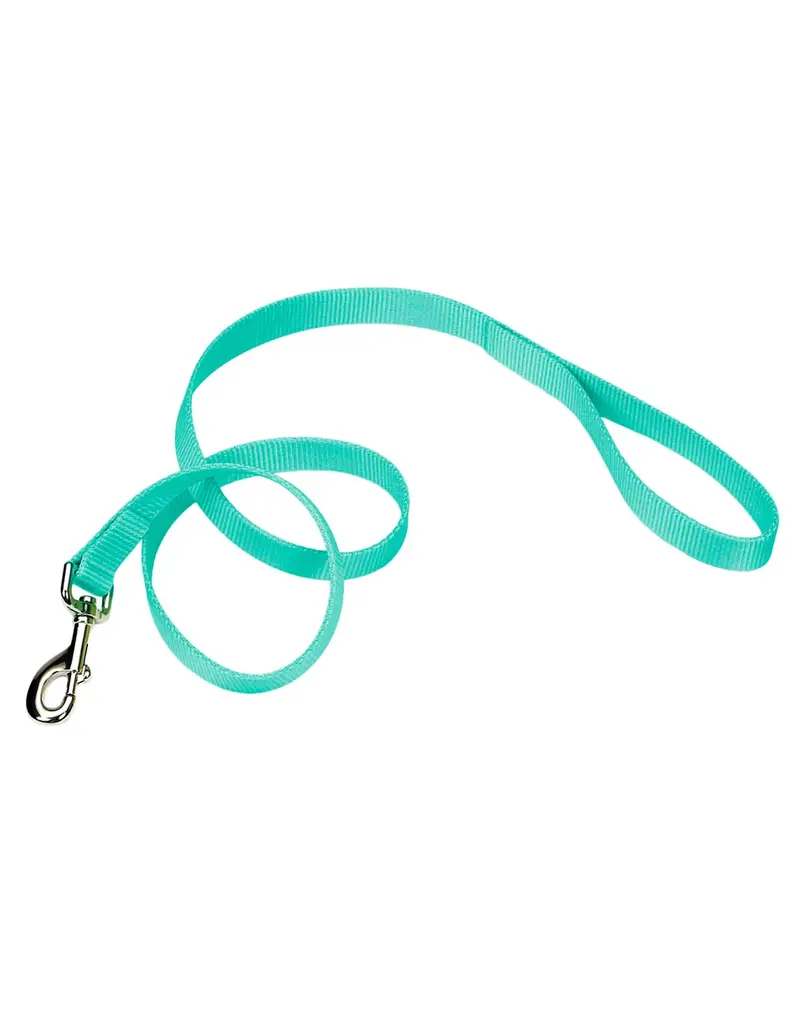 Coastal Pet Coastal Pet Nylon Single Ply Dog Lead