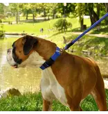 Coastal Pet Coastal Pet Rope Snap Leash 6FT