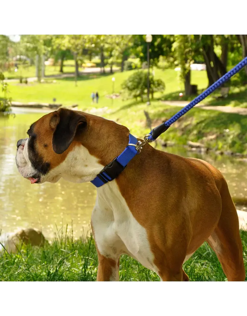 Coastal Pet Coastal Pet Rope Snap Leash 6FT