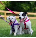 Ethical Pet Coastal Pet Comfort Wrap Adjustable Dog Harness