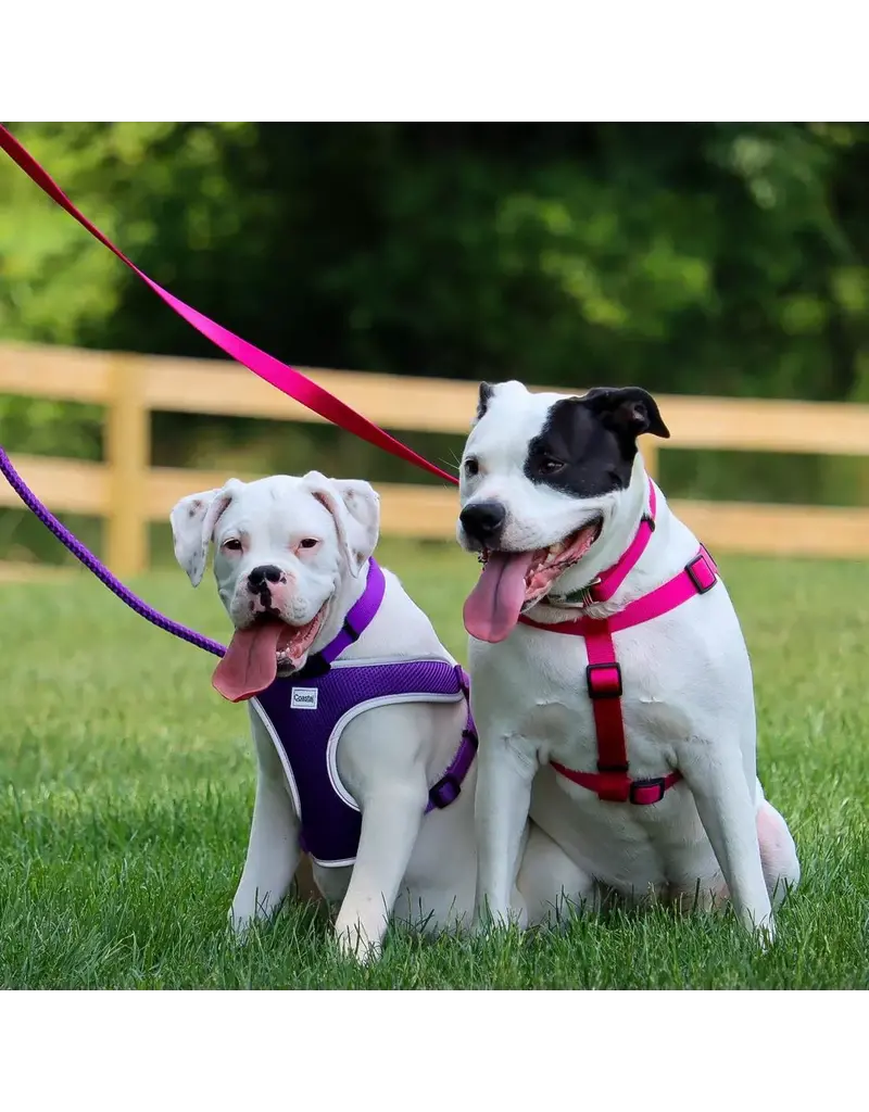 Ethical Pet Coastal Pet Comfort Wrap Adjustable Dog Harness