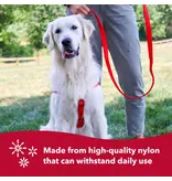 Fluval Coastal Pet Nylon Double Ply Dog Leash