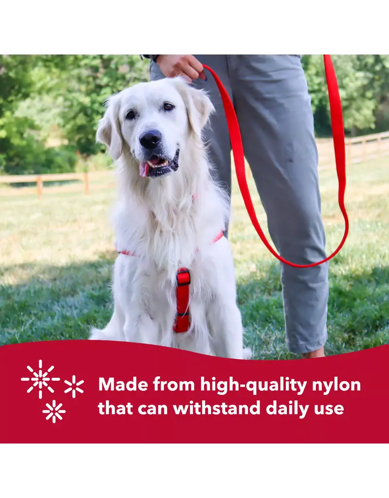 Fluval Coastal Pet Nylon Double Ply Dog Leash