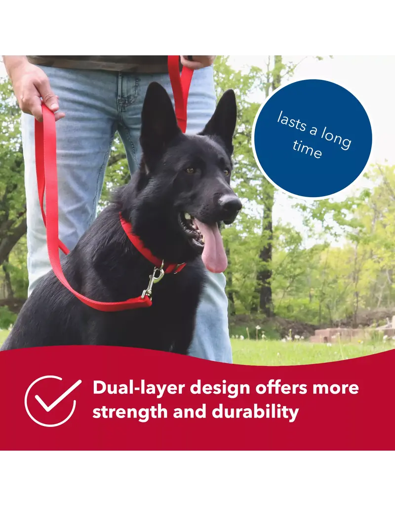 Fluval Coastal Pet Nylon Double Ply Dog Leash