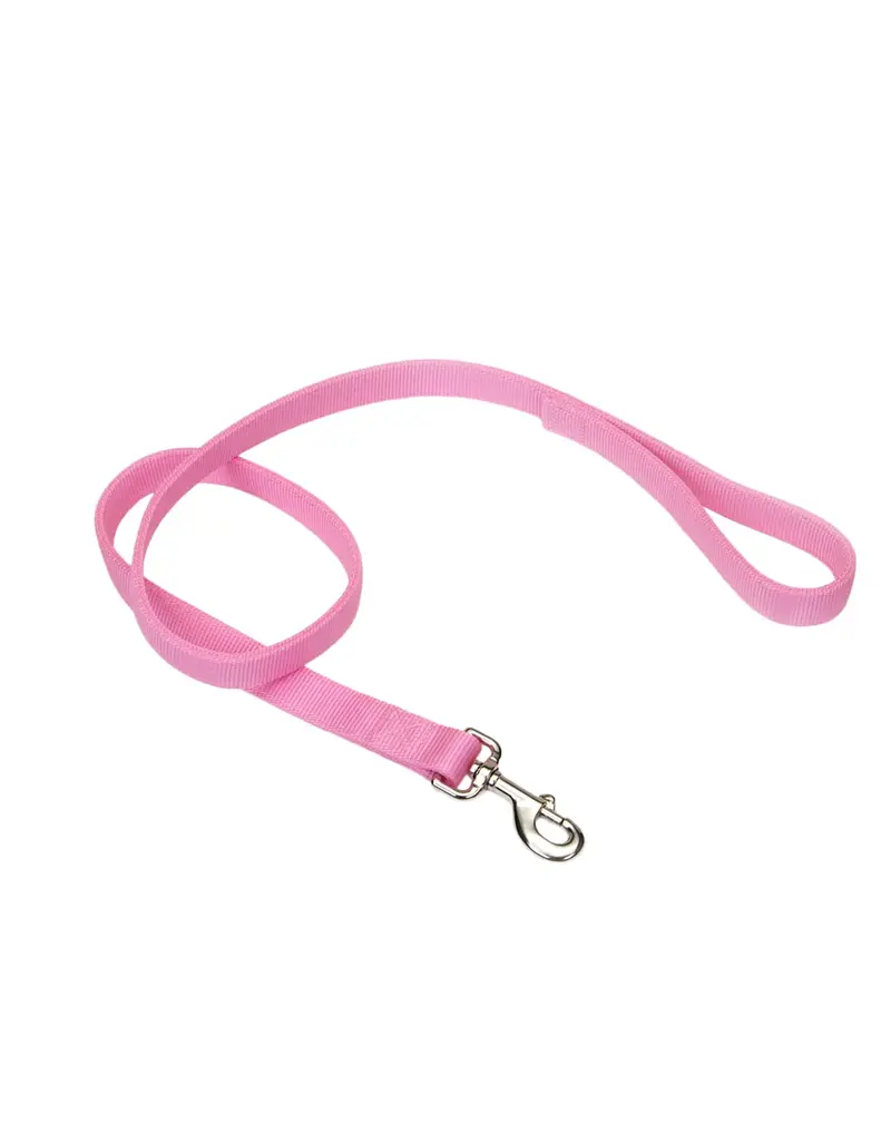 Fluval Coastal Pet Nylon Double Ply Dog Leash