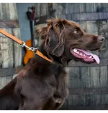 Coastal Pet Coastal Pet Oak Tanned Leather Collar