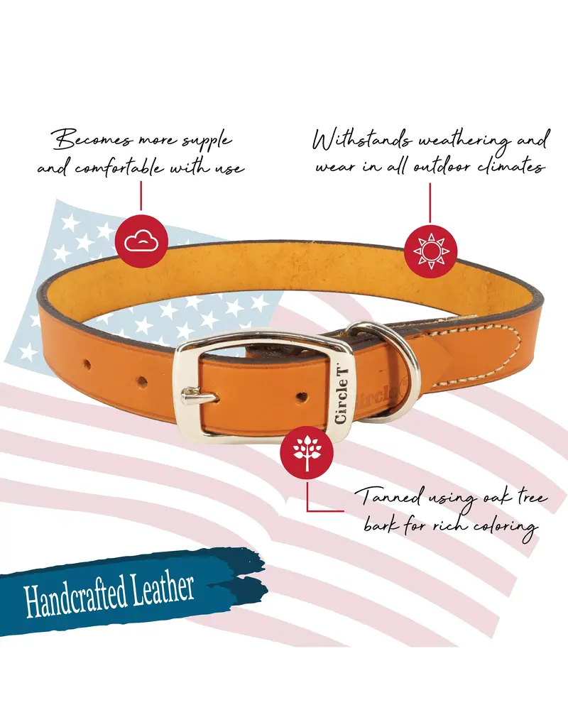 Coastal Pet Coastal Pet Oak Tanned Leather Collar