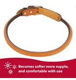 Coastal Pet Coastal Pet Oak Tanned Leather Round Collar