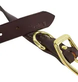 Coastal Pet Coastal Pet Latigo Leather Collar