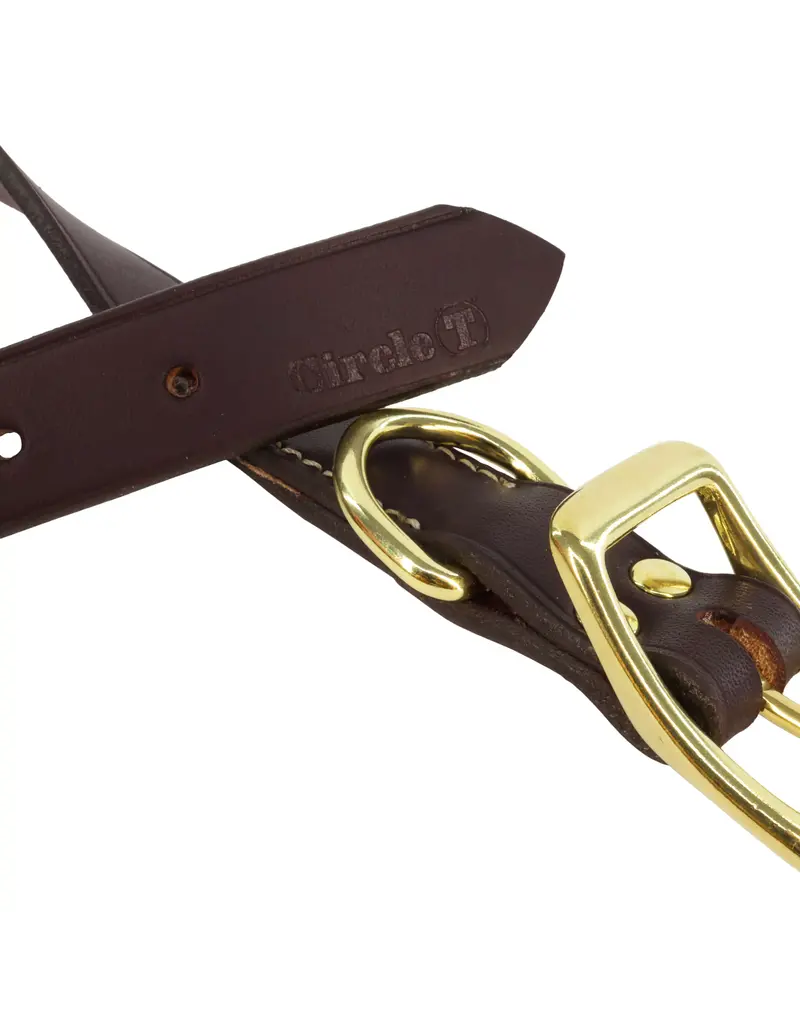 Coastal Pet Coastal Pet Latigo Leather Collar