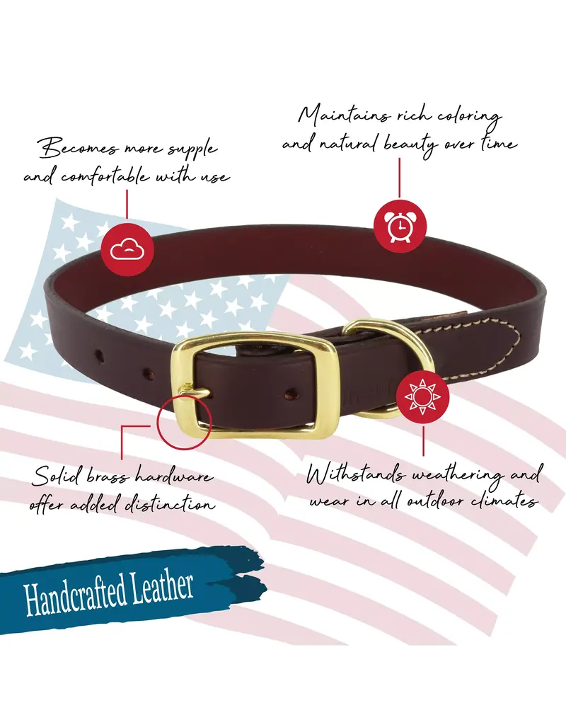 Coastal Pet Coastal Pet Latigo Leather Collar
