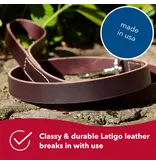 Coastal Pet Coastal Pet Latigo Leather Leash