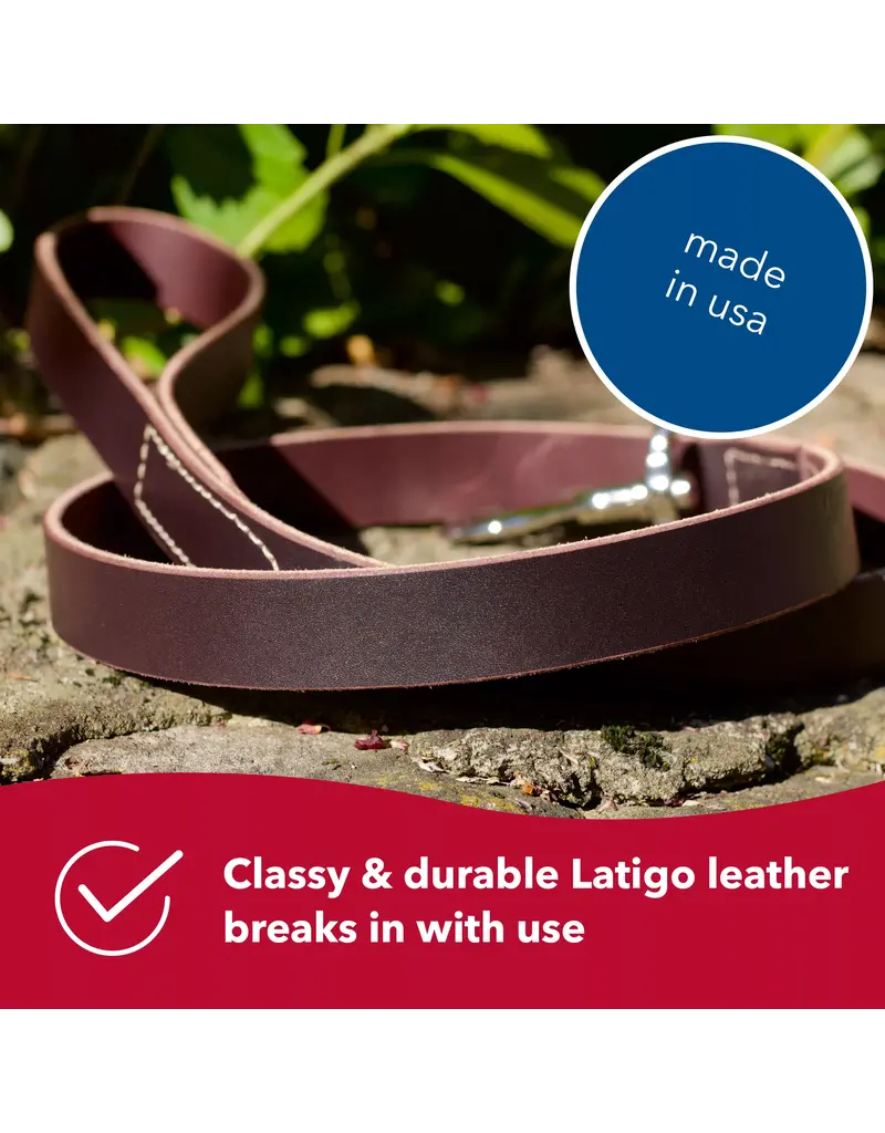 Coastal Pet Coastal Pet Latigo Leather Leash