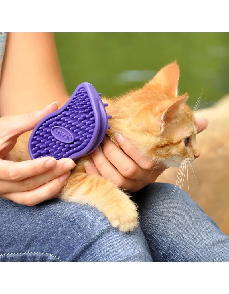 Coastal Pet Coastal Pet Lil Pals Kitten Soft Tip Massager