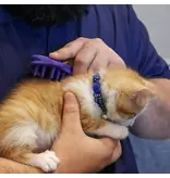 Coastal Pet Coastal Pet Lil Pals Kitten Soft Tip Massager