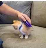 Coastal Pet Coastal Pet Lil Pals Kitten Soft Tip Massager